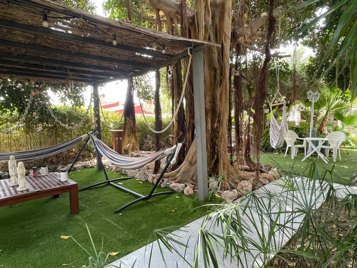 Suite Privada Frente A La Piscina Para 2 Personas Con Sofa Cama Para 2 Mas 4P No Es Casa Completa San Vicente Raspeig Luaran gambar